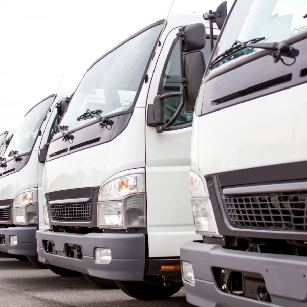 Tradição e Cuidado