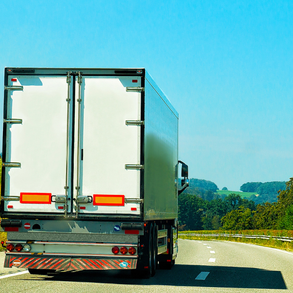 Execução e Acompanhamento